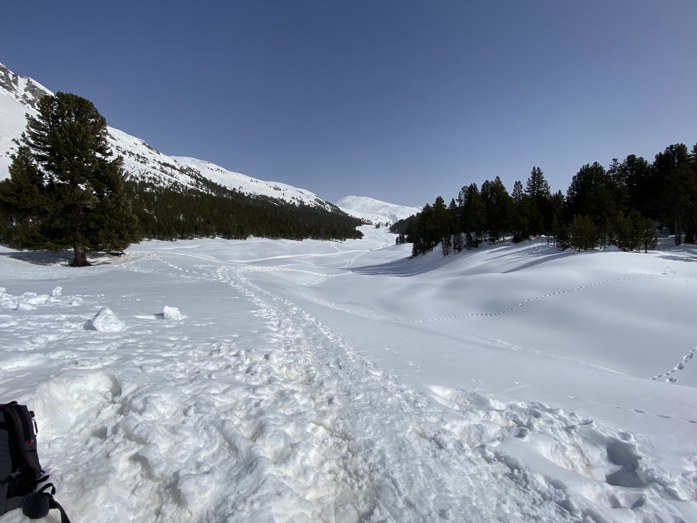 Berggasthaus Buffalora